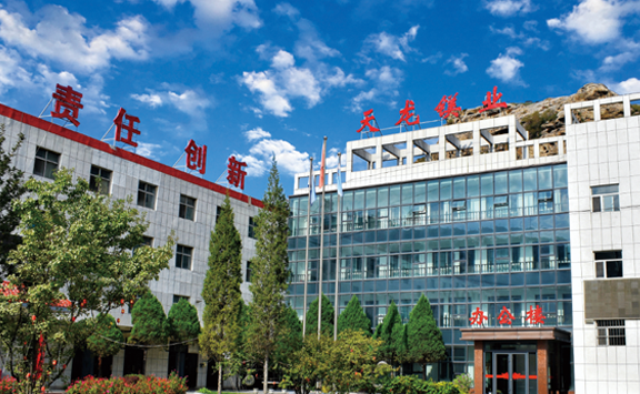 Asian Metal visits Yulin Tianlong