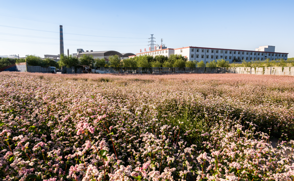 Asian Metal visits Fugu Xintian
